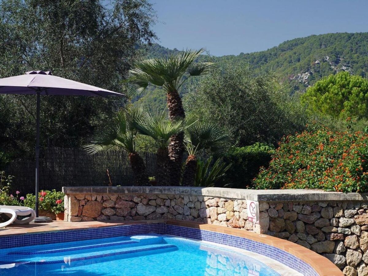 Villa Camp Redo : maison rurale mallorquine 6 pers. - Photo 4