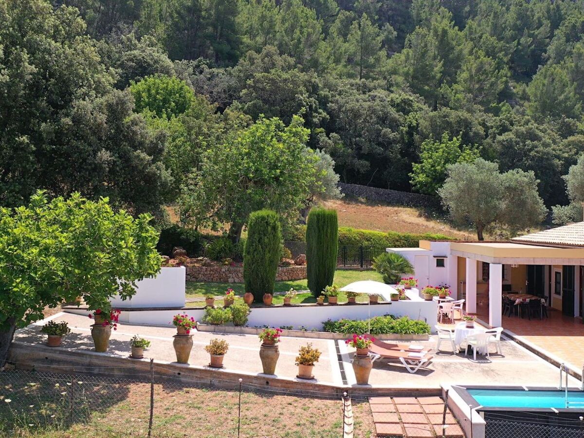 Villa Can Tirana – Maison 6 pers. avec piscine à Pollença - Photo 8
