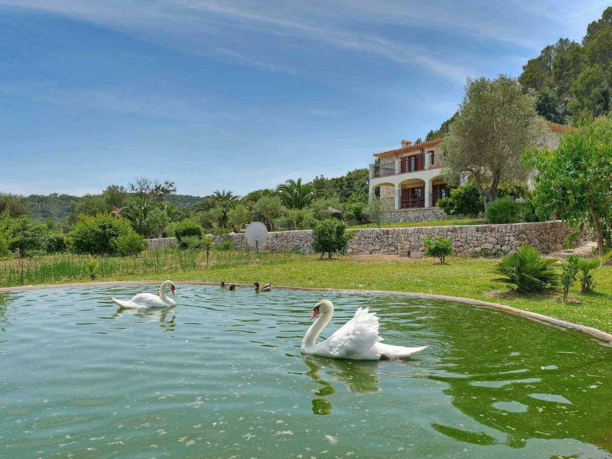 Maison Finca Plomera à Pollença : 4 chambres, piscine 12m - Photo 15