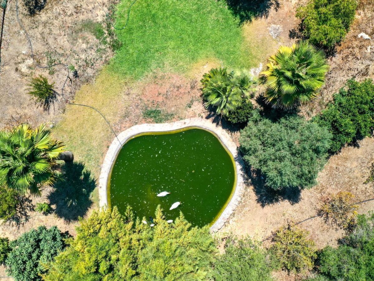 Maison Finca Plomera à Pollença : 4 chambres, piscine 12m - Photo 38