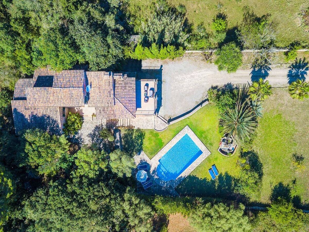 Finca Tomas, maison traditionnelle face à la Tramuntana - Photo 10