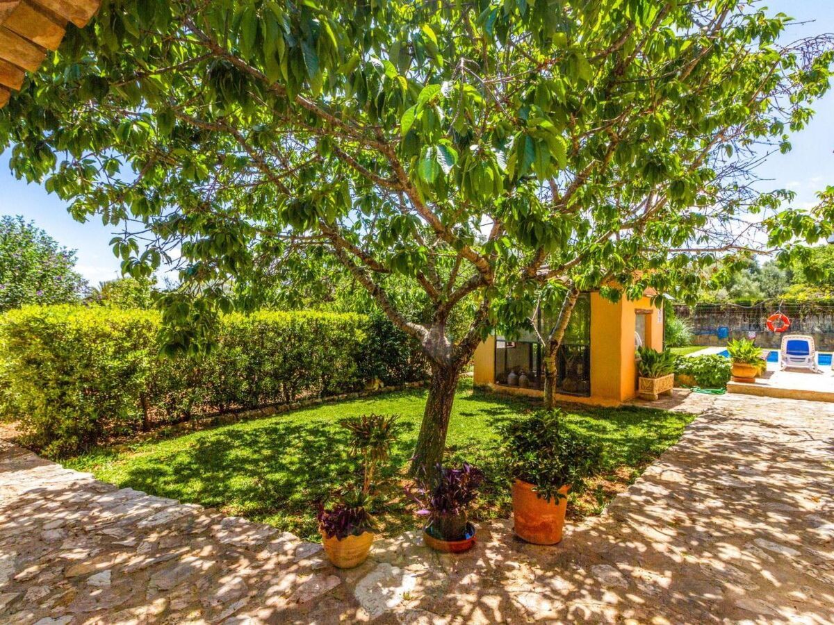 Maison en pierre à Cala San Vicente, piscine et jardins - Photo 22