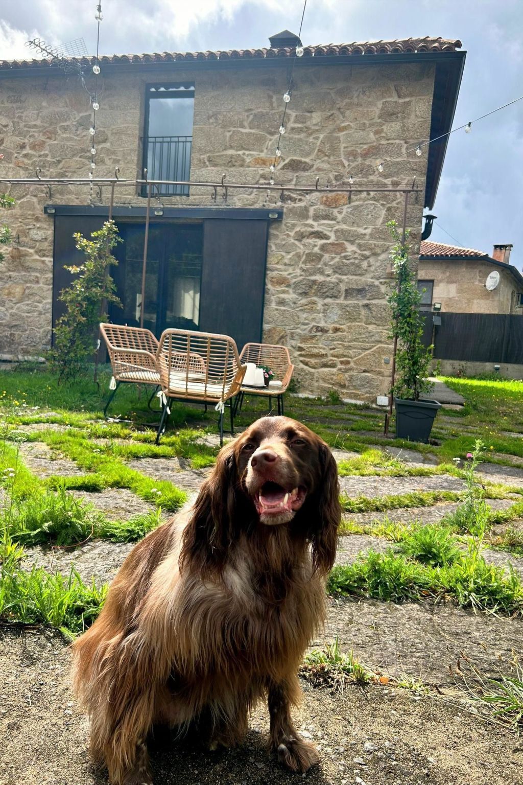 Maison rurale 5 pers. à Cerdedo, clôturée et chiens acceptés - Photo 18