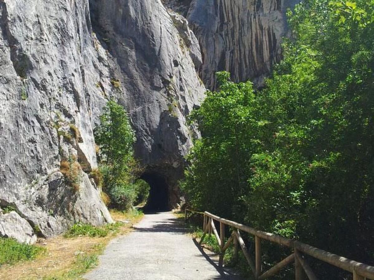 Maison La Carrozal Senda del Oso, à 650 m d'altitude - Photo 63