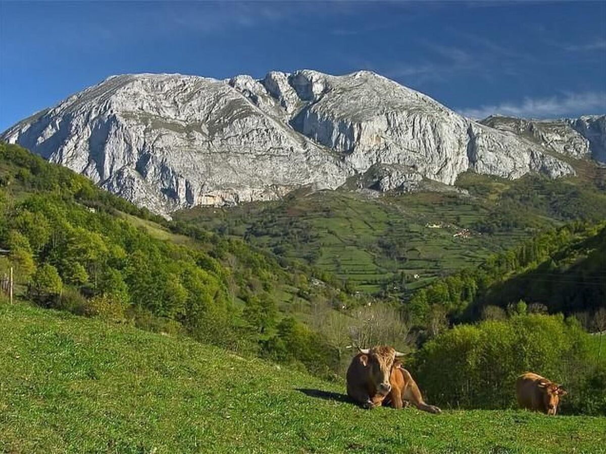 Maison La Carrozal Senda del Oso, à 650 m d'altitude - Photo 65