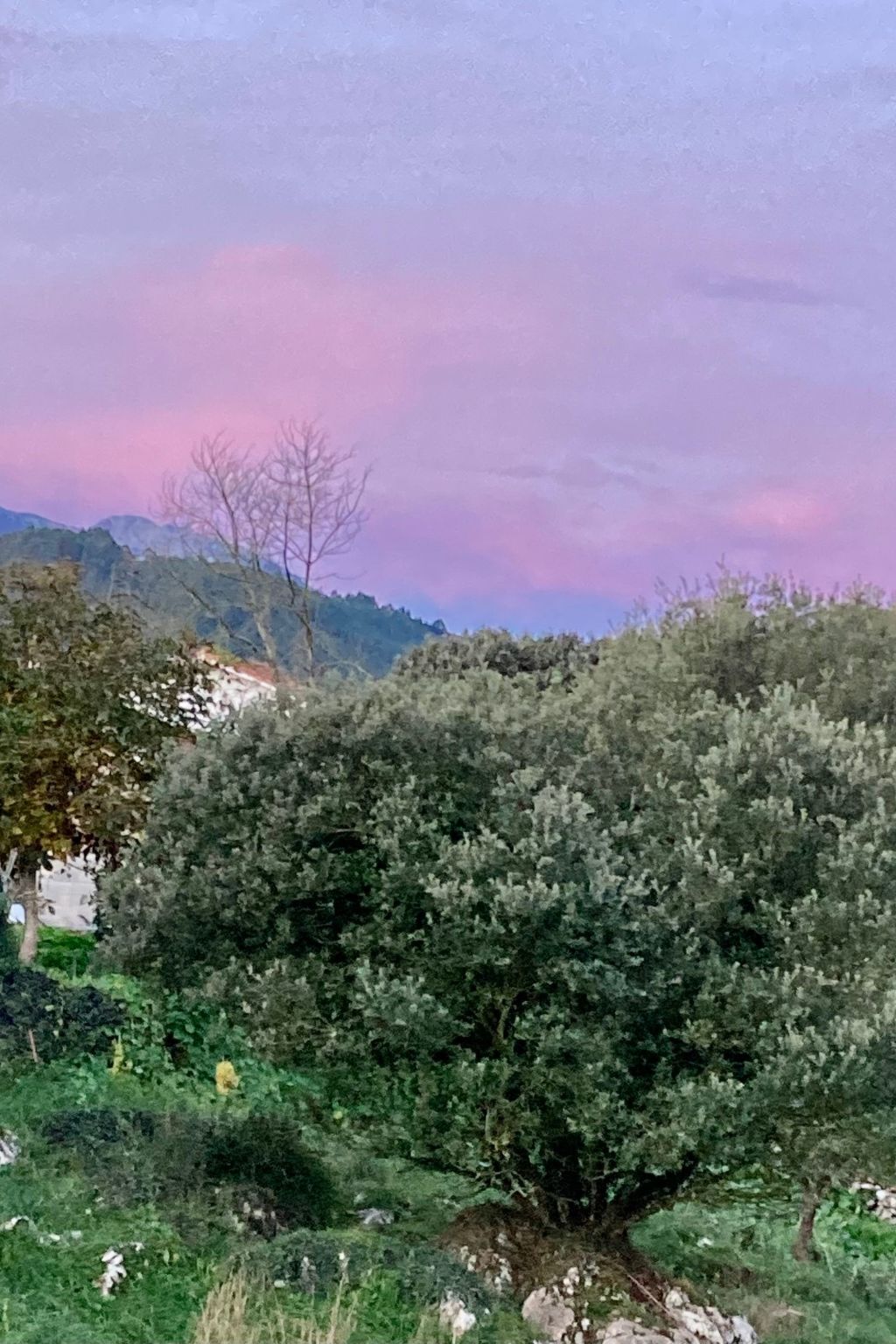 Maison individuelle à La Franca, plage à 500 m des Picos - Photo 23