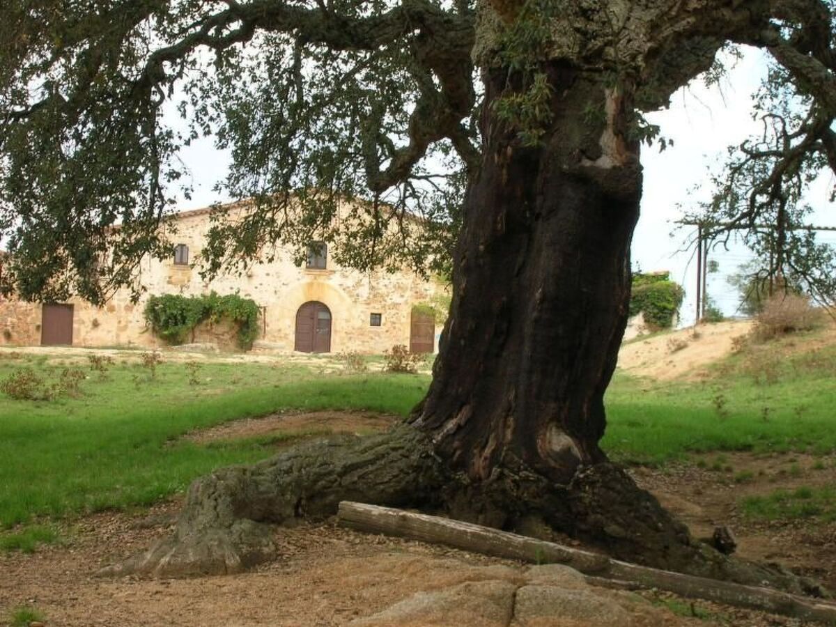 La Pahissa – Maison rurale 9 personnes, parc naturel - Photo 2