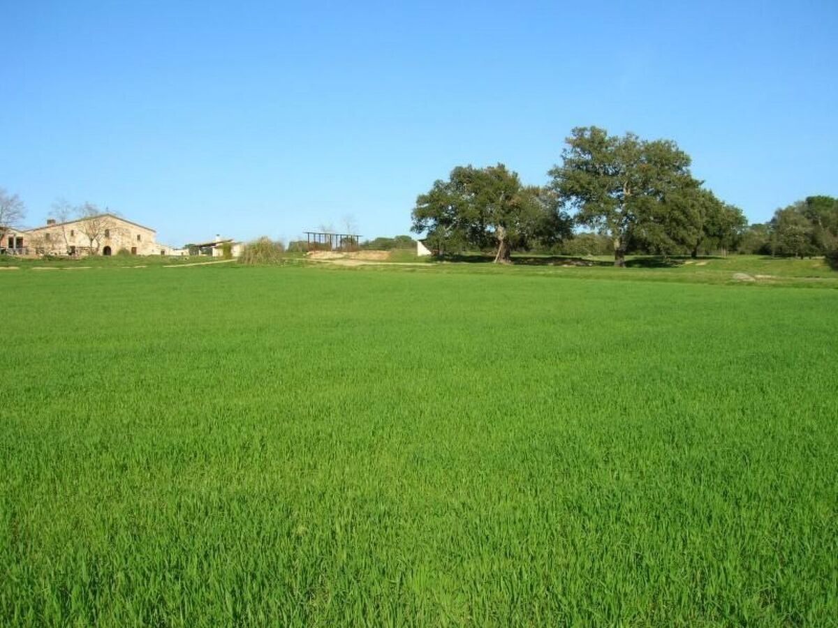 La Pahissa – Maison rurale 9 personnes, parc naturel - Photo 3