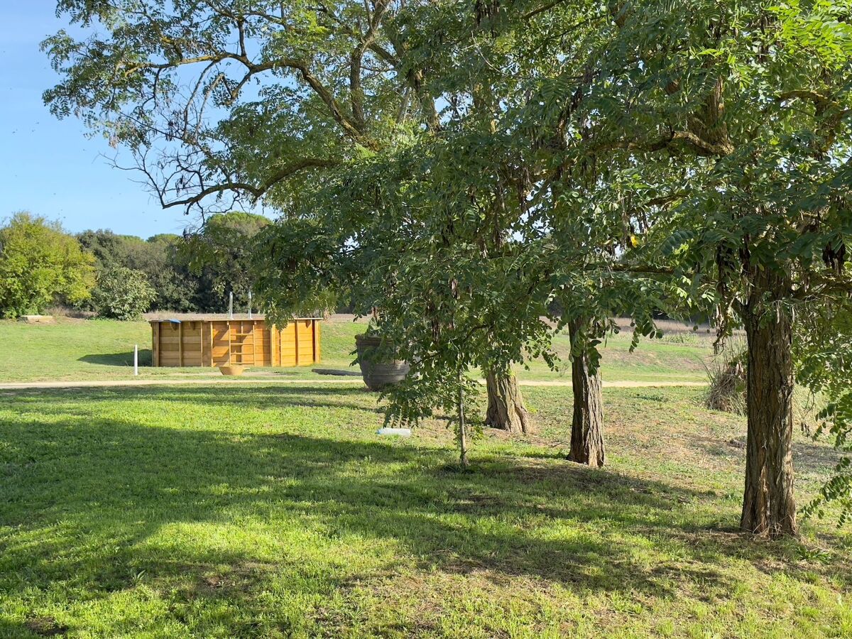 La Pahissa – Maison rurale 9 personnes, parc naturel - Photo 40