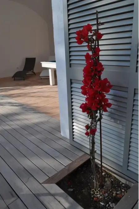 Villa 6 chambres piscine privée à Sa Riera : photo 39