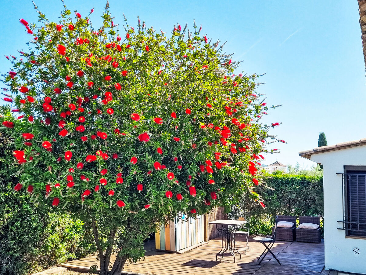 Casa Sunnesching – bungalow 6 pers. avec terrasse panoramique - Photo 18