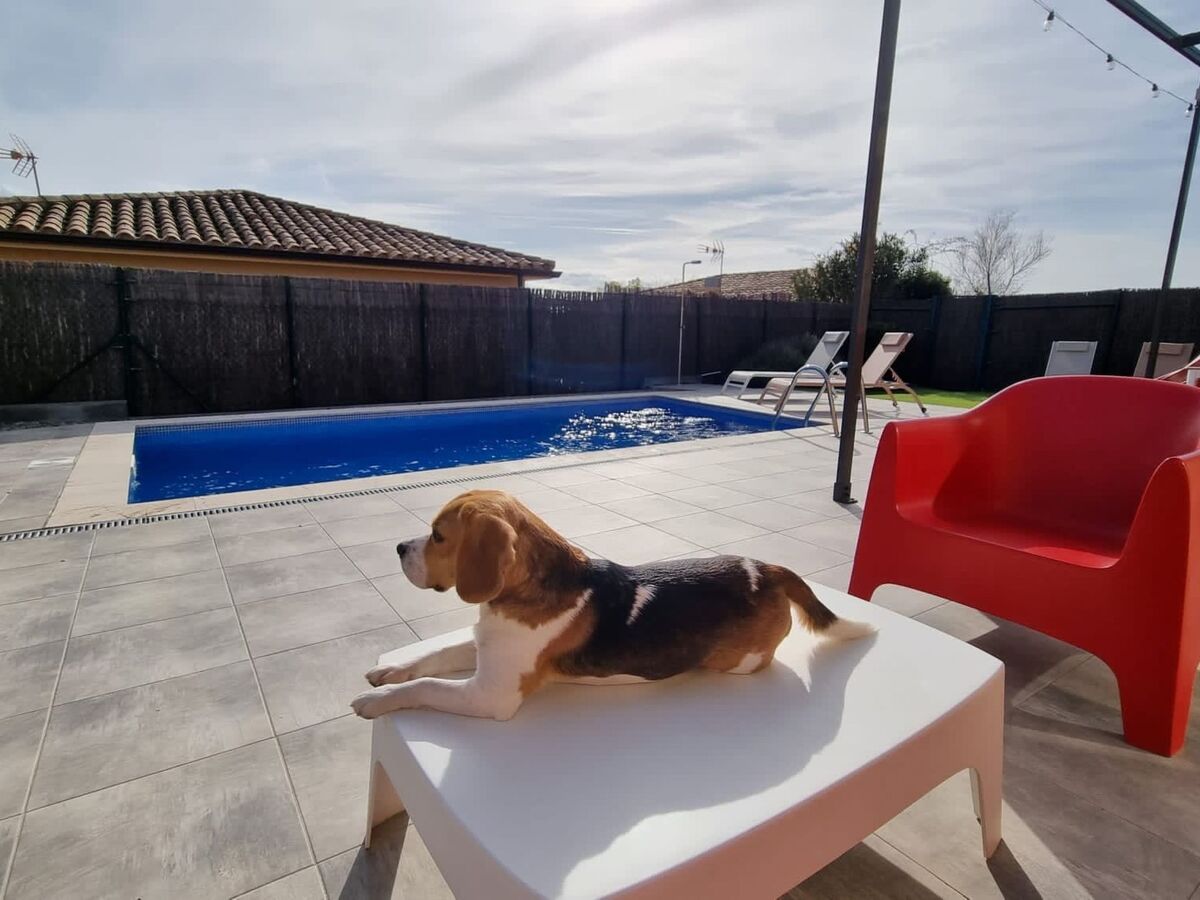 Villa de plain-pied à L'Estartit – piscine privée et grands chiens bienvenus - Photo 21