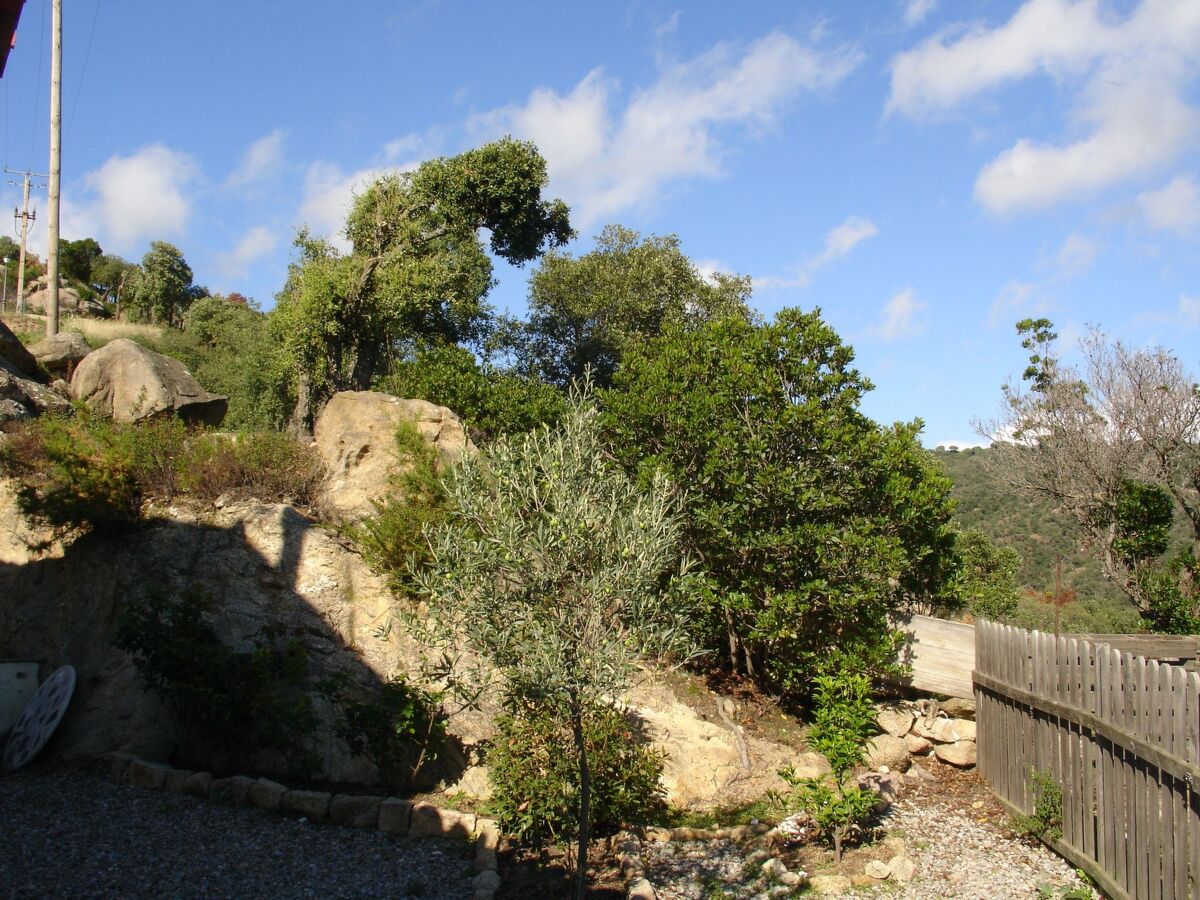 Maison avec piscine privée et vue mer à Sta Cristina d'Aro - Photo 22