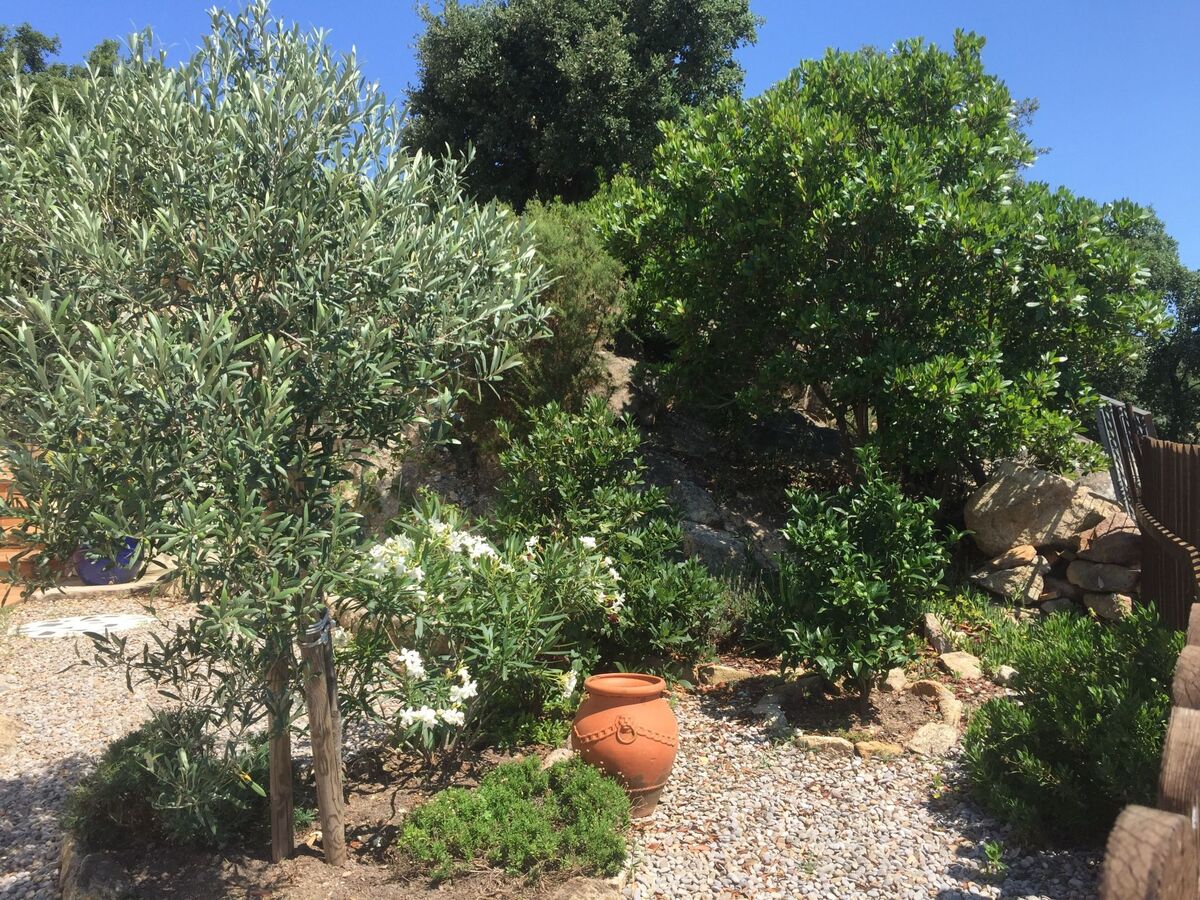 Maison avec piscine privée et vue mer à Sta Cristina d'Aro - Photo 26