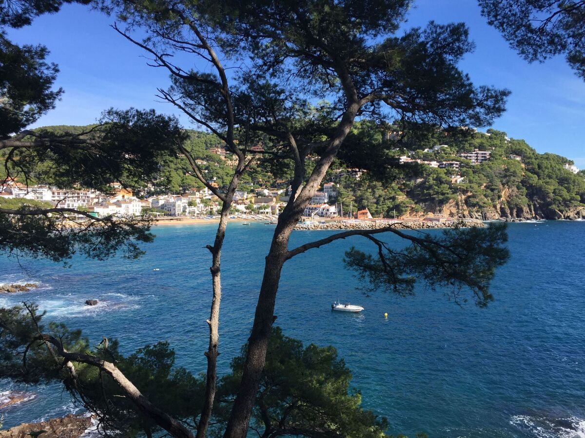 Maison avec piscine privée et vue mer à Sta Cristina d'Aro - Photo 32