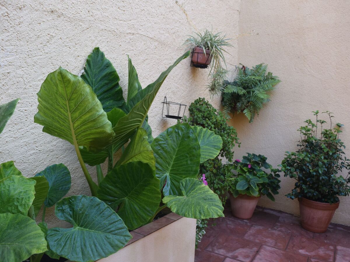 Maison à colombages 8 pers. à El Montmell - Photo 47