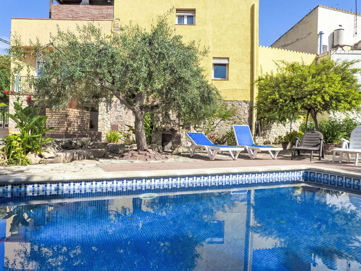 Hort de la Cinteta – Maison rurale 4 chambres à Alcover - Photo 26