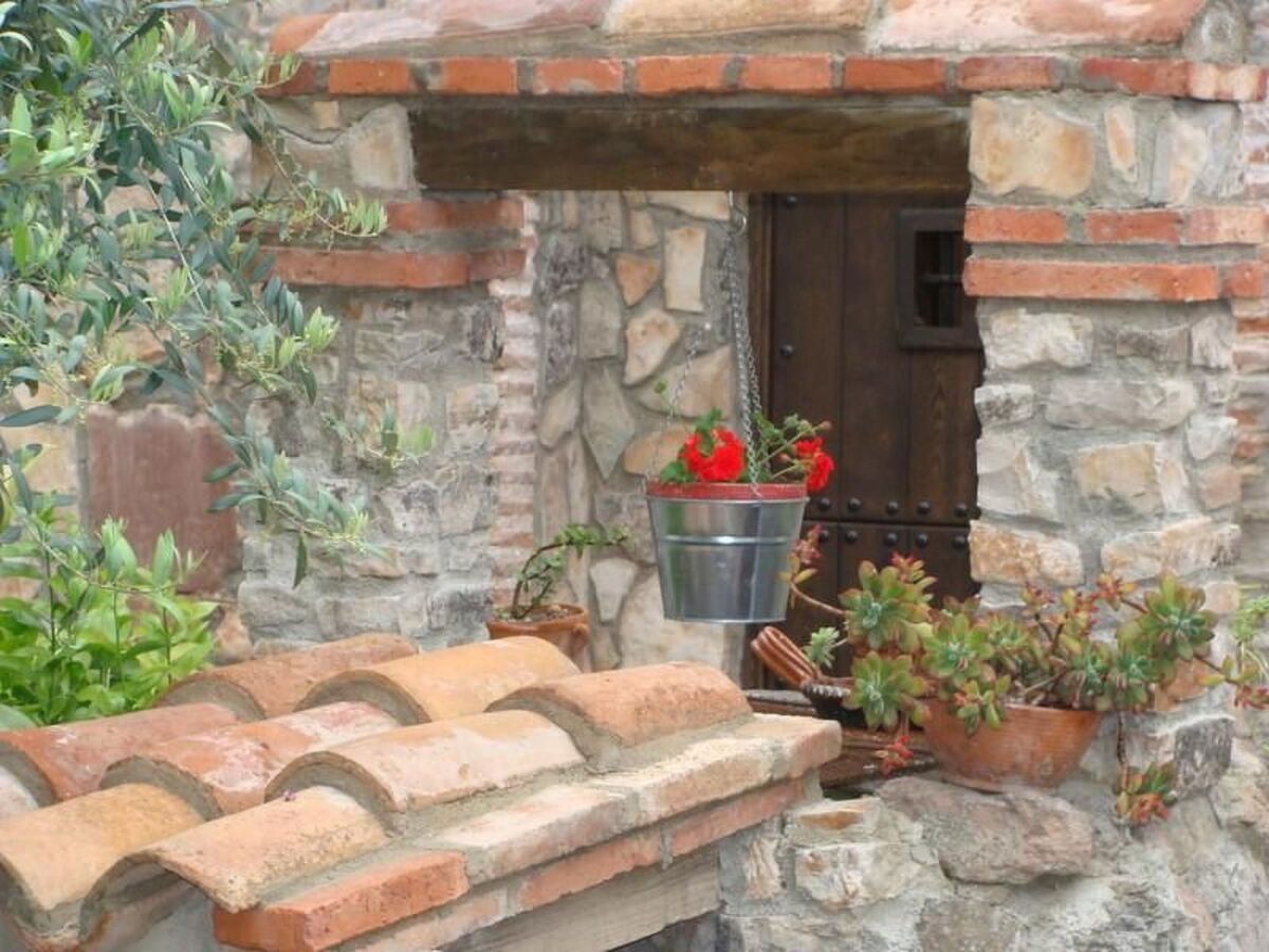 Hort de la Cinteta – Maison rurale 4 chambres à Alcover - Photo 48
