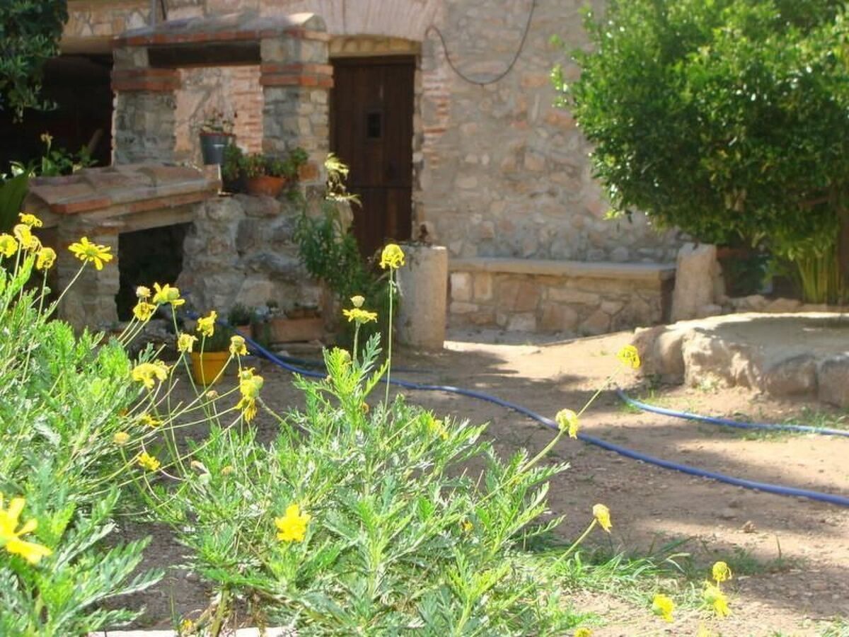Hort de la Cinteta – Maison rurale 4 chambres à Alcover - Photo 49