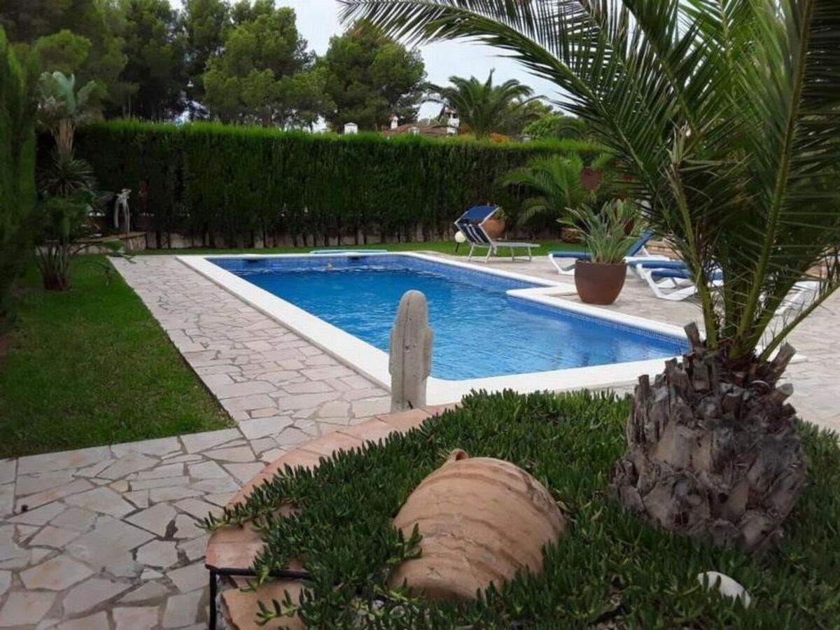 Maison 3 chambres avec piscine à 100m de la mer - Photo 6