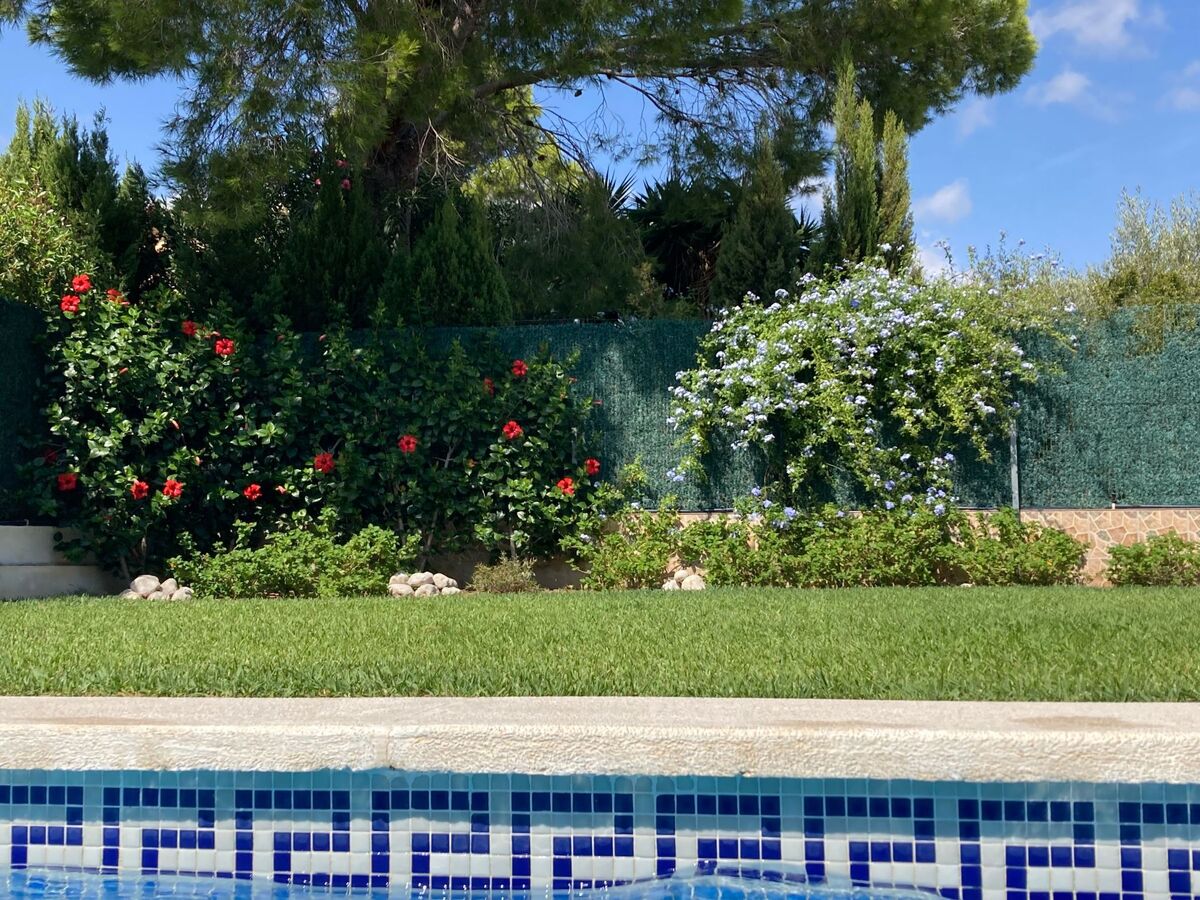 Casa Blumer – Maison 4 chambres avec piscine privée - Photo 3