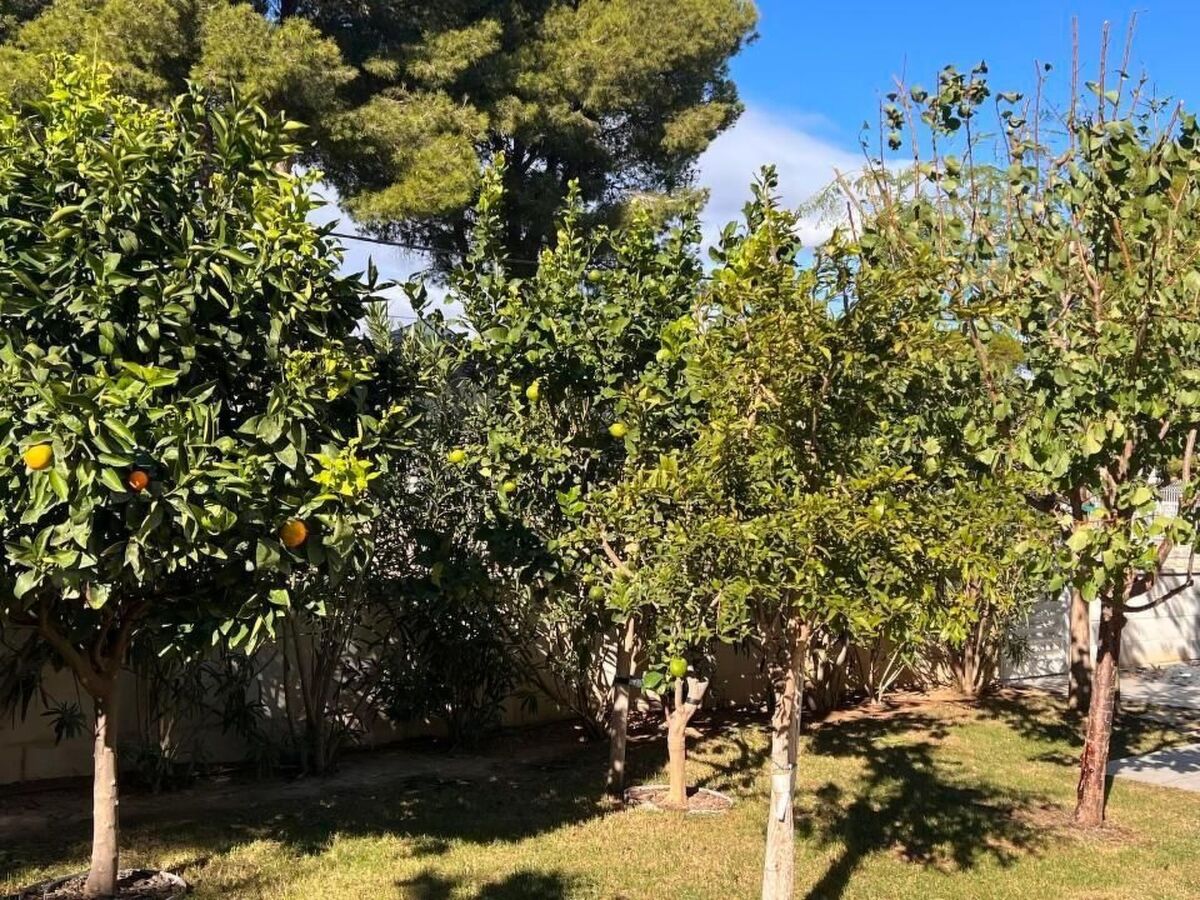 Casa Tres Cales – Maison 6 pers. plage à 100 m - Photo 9