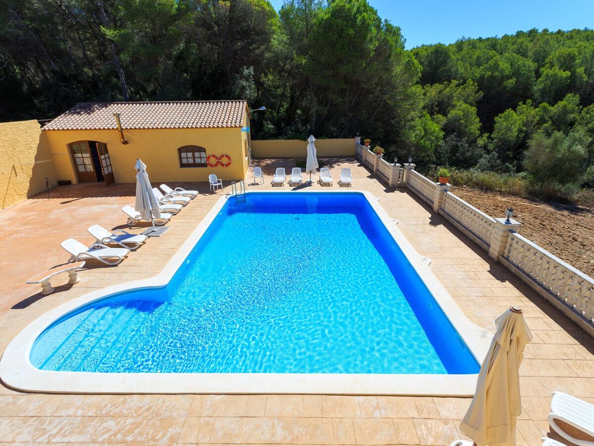 Maison 7 chambres avec piscine 12x7 m au parc naturel de Foix - Photo 7