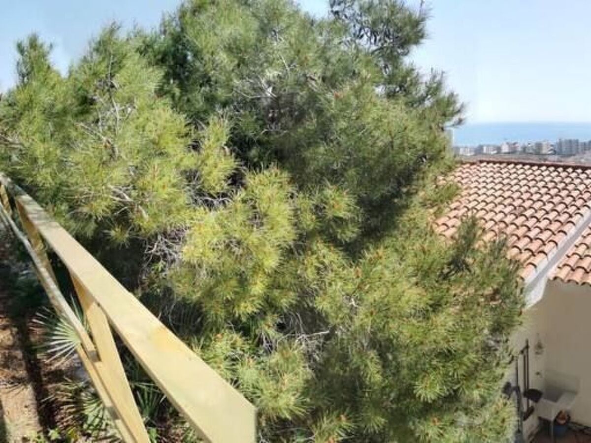Bungalow 6 pers. avec terrasse & parking à Peñíscola - Photo 7