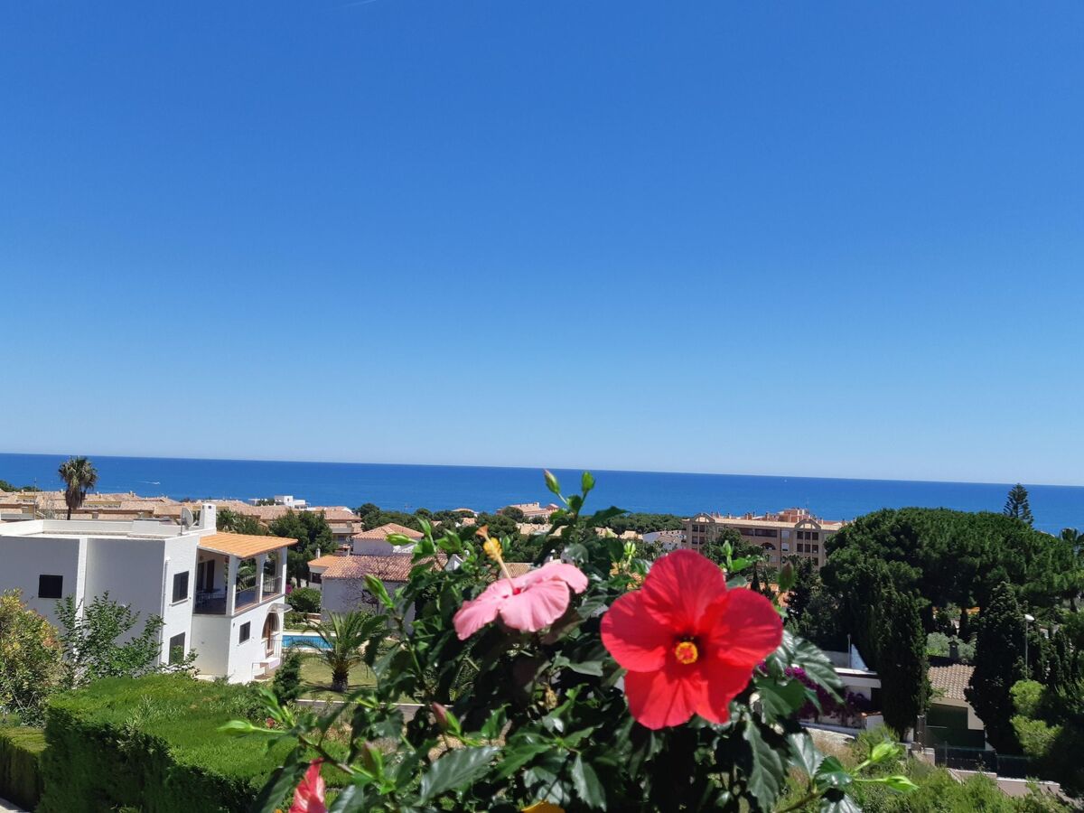 Appartement Mar y Sol – piscine privée à 250 m de la plage - Photo 44