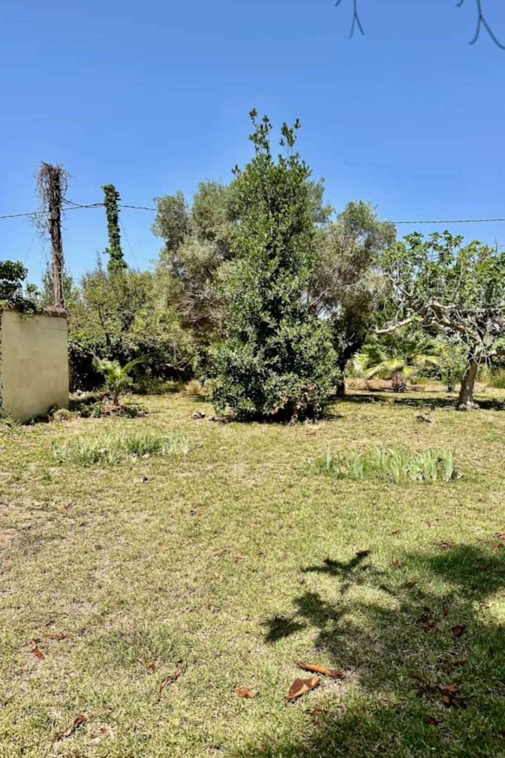 Maison de plage à El Grao – 5 ch., terrasse et vue mer - Photo 26