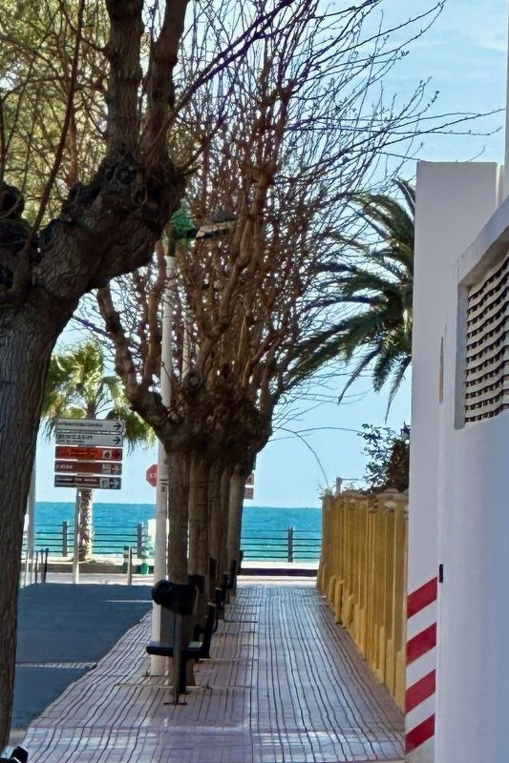 Appartement Mar de Oropesa, 6 pers., 350 m de la plage - Photo 5