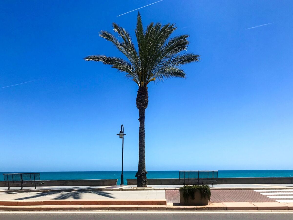 Appartement Benicàssim, 50 m plage avec piscine - Photo 5