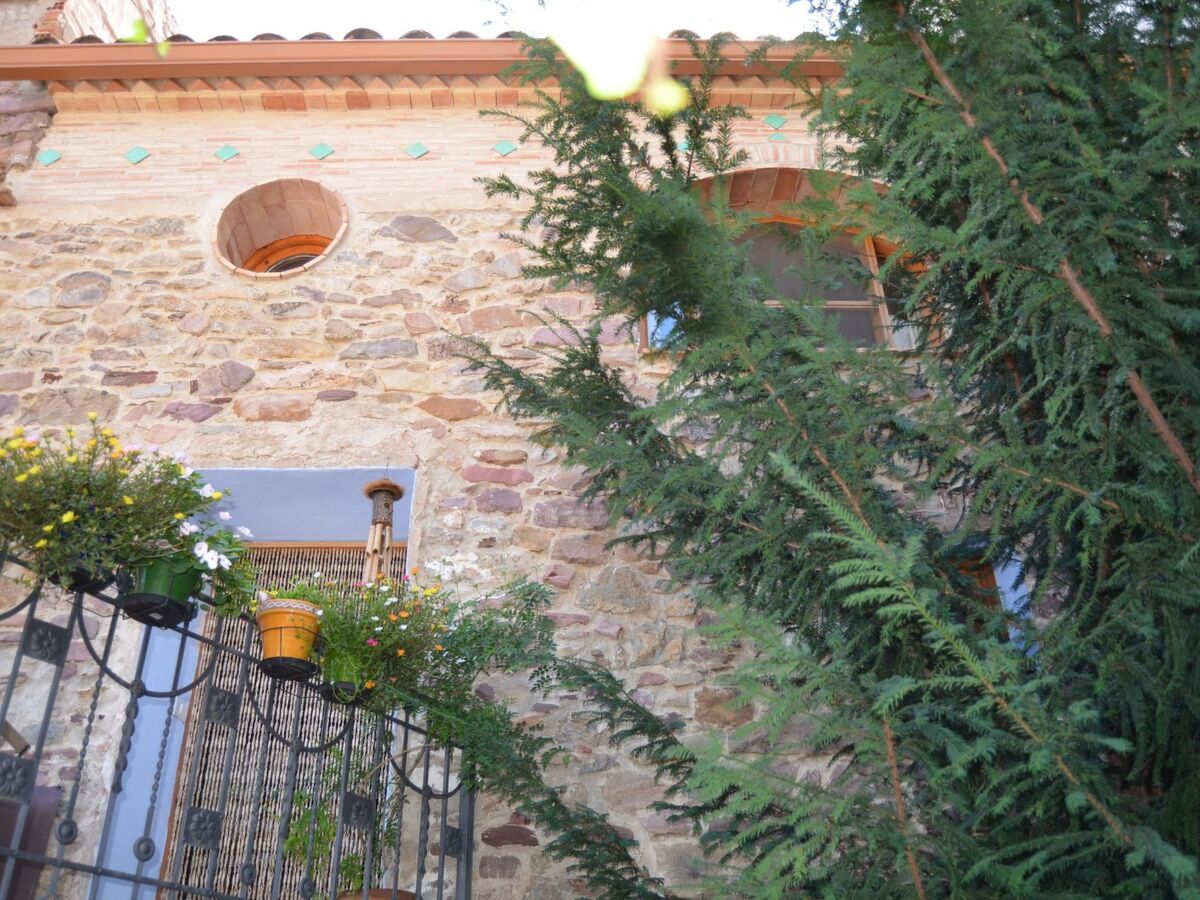 Casa del Teix, maison en pierre et bois à Eslida - Photo 17