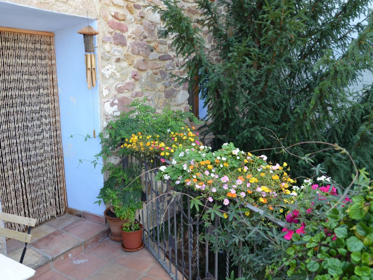 Casa del Teix, maison en pierre et bois à Eslida - Photo 22
