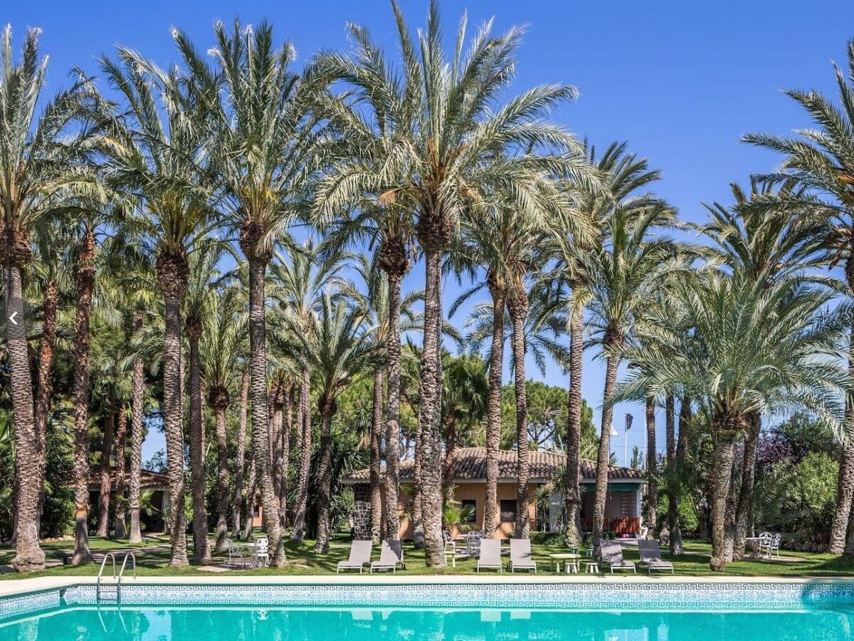 Villa El Oasis – 8 pers., 4 ch., 2 piscines à L'Eliana - Photo 20