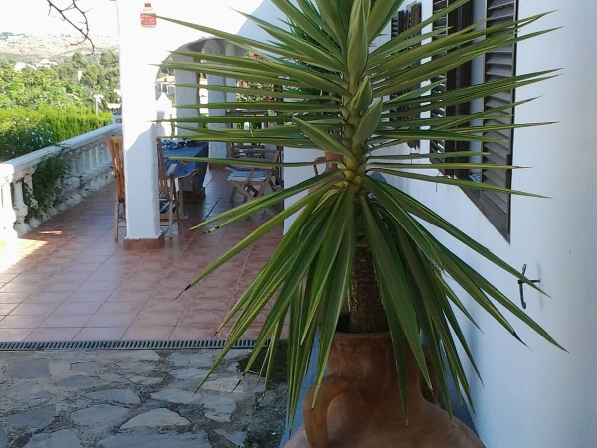 Villa Michel à Dénia : piscine privée et vue mer - Photo 4