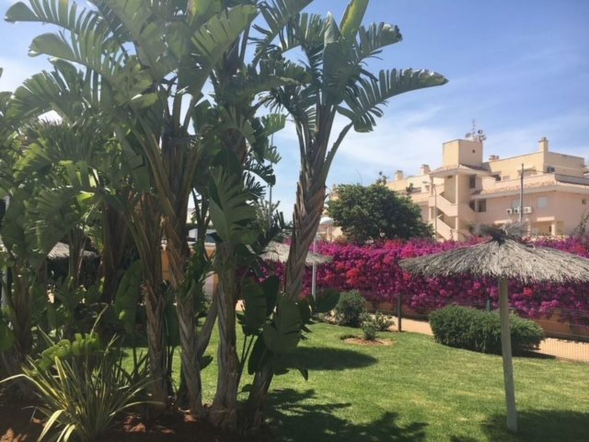 Appartement 2 chambres à 200 m de la plage, Dénia - Photo 17