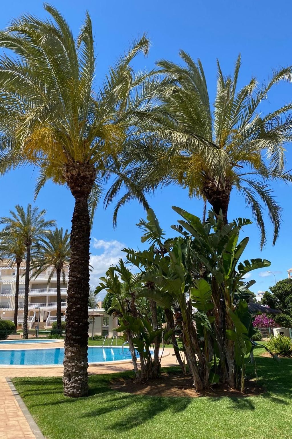 Appartement 2 chambres à 200 m de la plage, Dénia - Photo 41