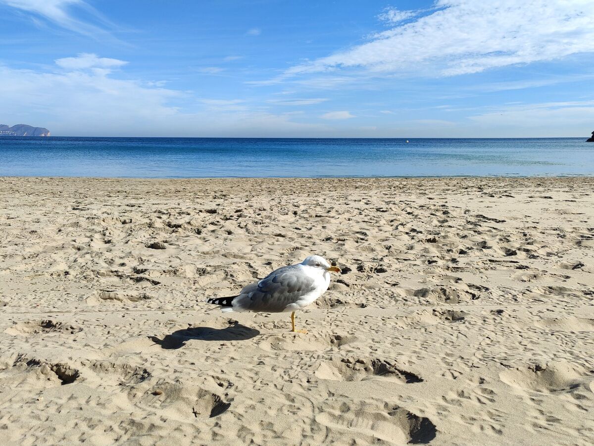 Casa Nautica – Maison 6 pers. à 80 m de la plage - Photo 20