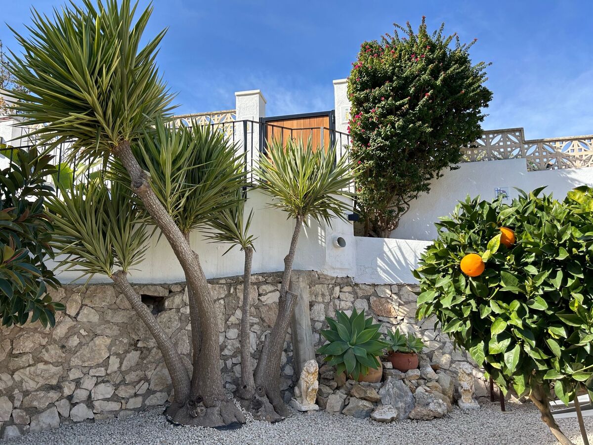 Masía del Barranco – Finca avec piscine et jacuzzi à Jávea - Photo 6