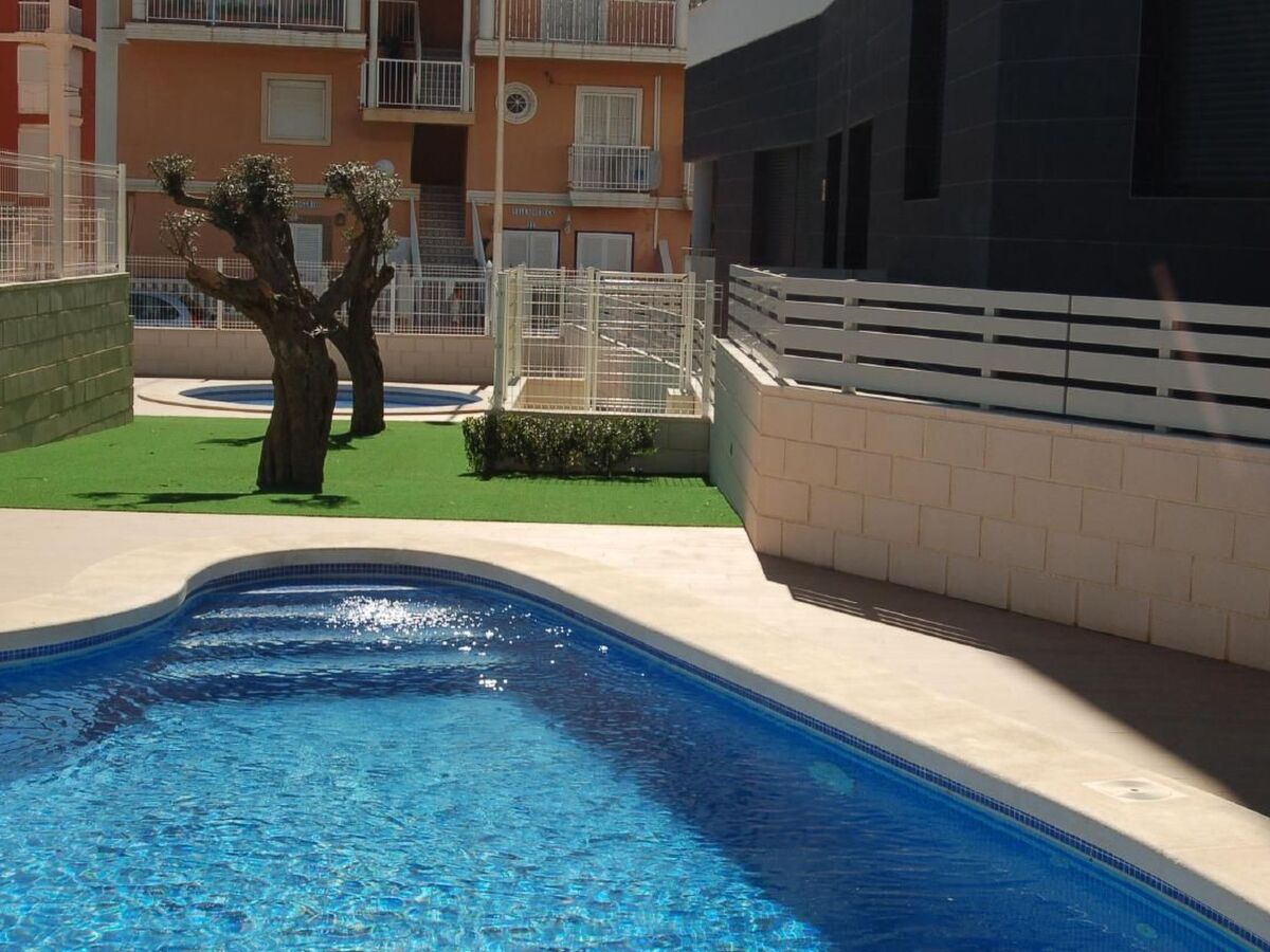Pinada Beach III - Appartement 3 chambres à La Mata - Photo 2