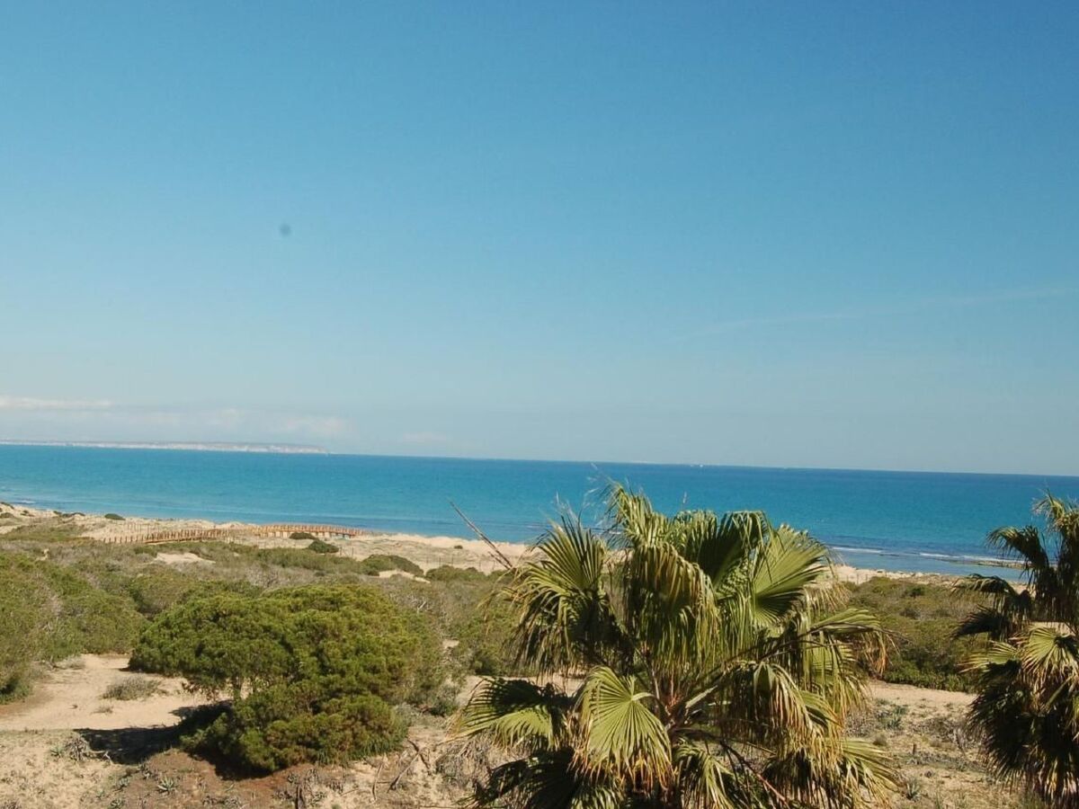 Pinada Beach III - Appartement 3 chambres à La Mata - Photo 24