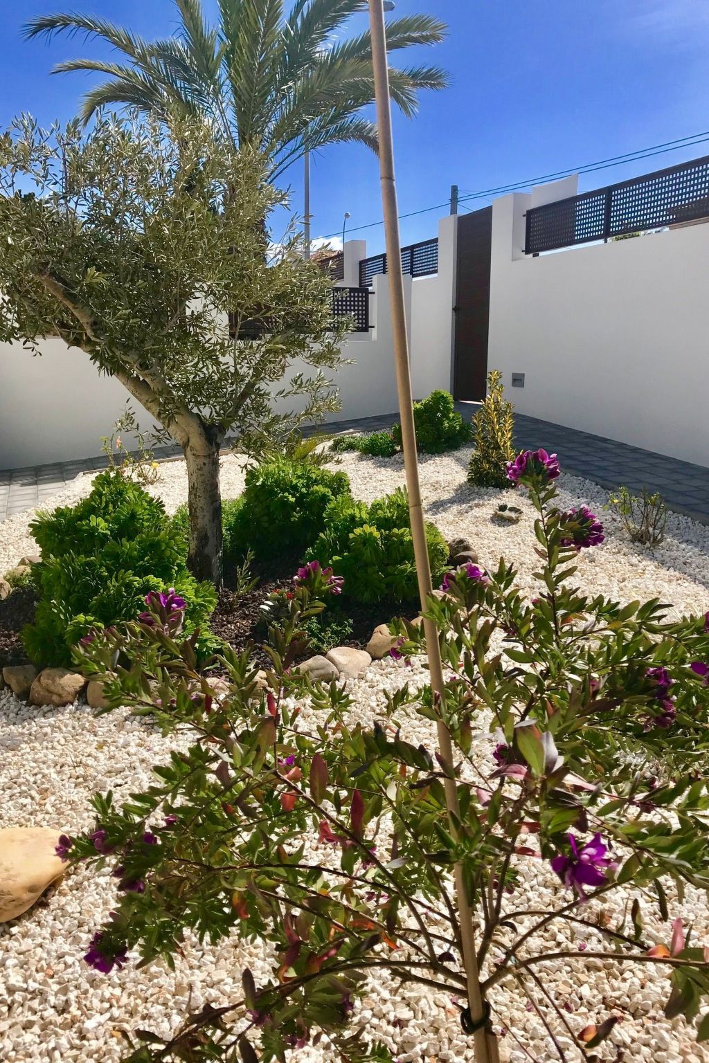 Casa Velazquez – Maison rénovée avec piscine 13x5 m à La Siesta - Photo 12