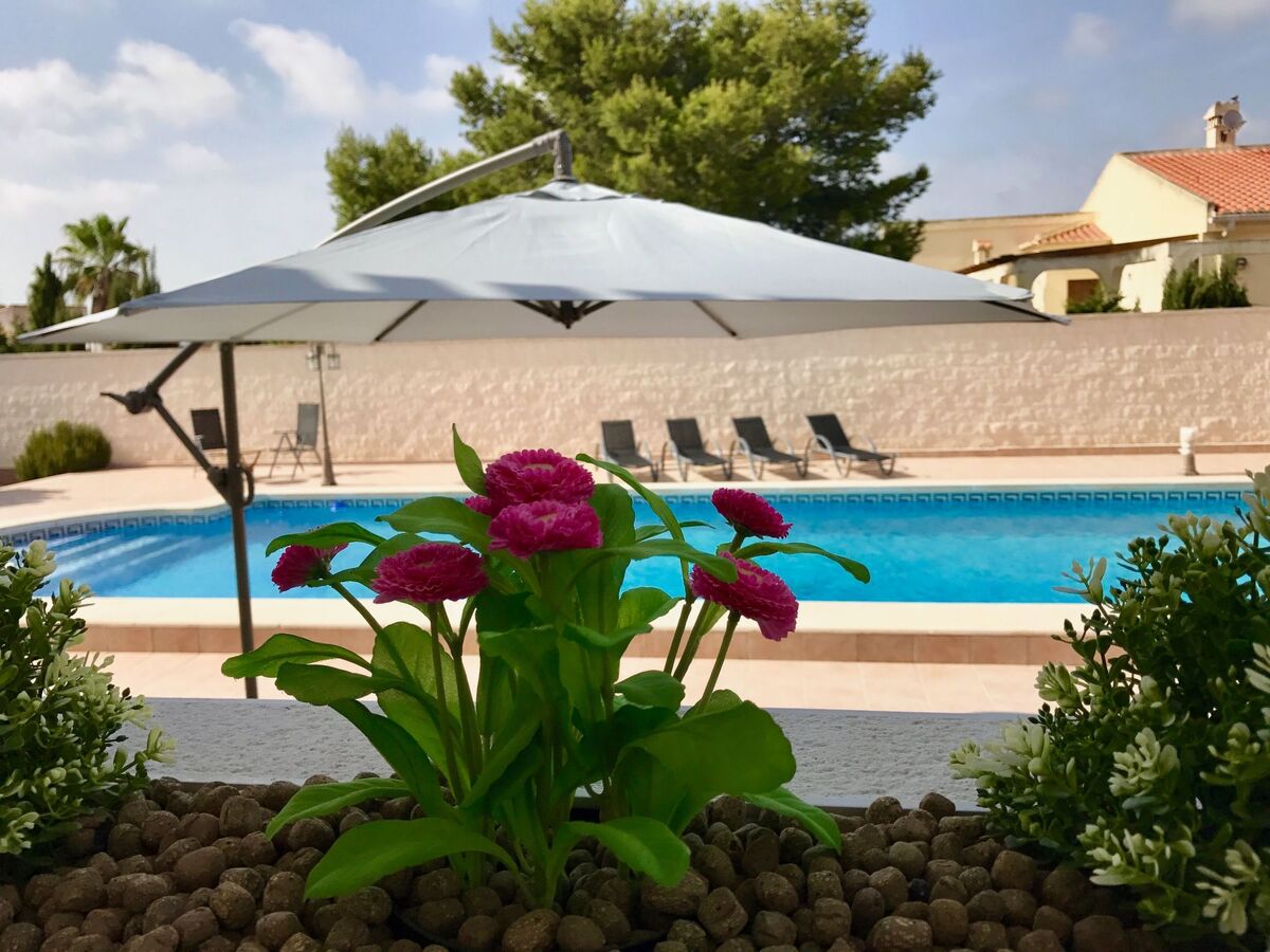 Casa Velazquez – Maison rénovée avec piscine 13x5 m à La Siesta - Photo 27