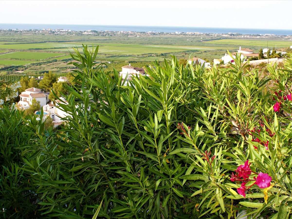 Villa de la Luz - Maison Costa Blanca vue mer panoramique - Photo 23