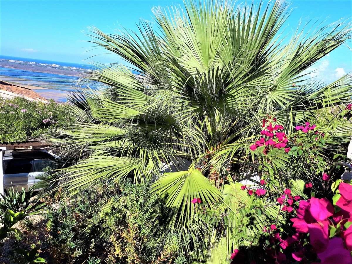 Villa del Mar à Pego - Maison 6 pers. vue mer & piscine - Photo 28
