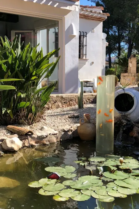 Finca avec piscine d'eau salée et vue panoramique à Pego : photo 18