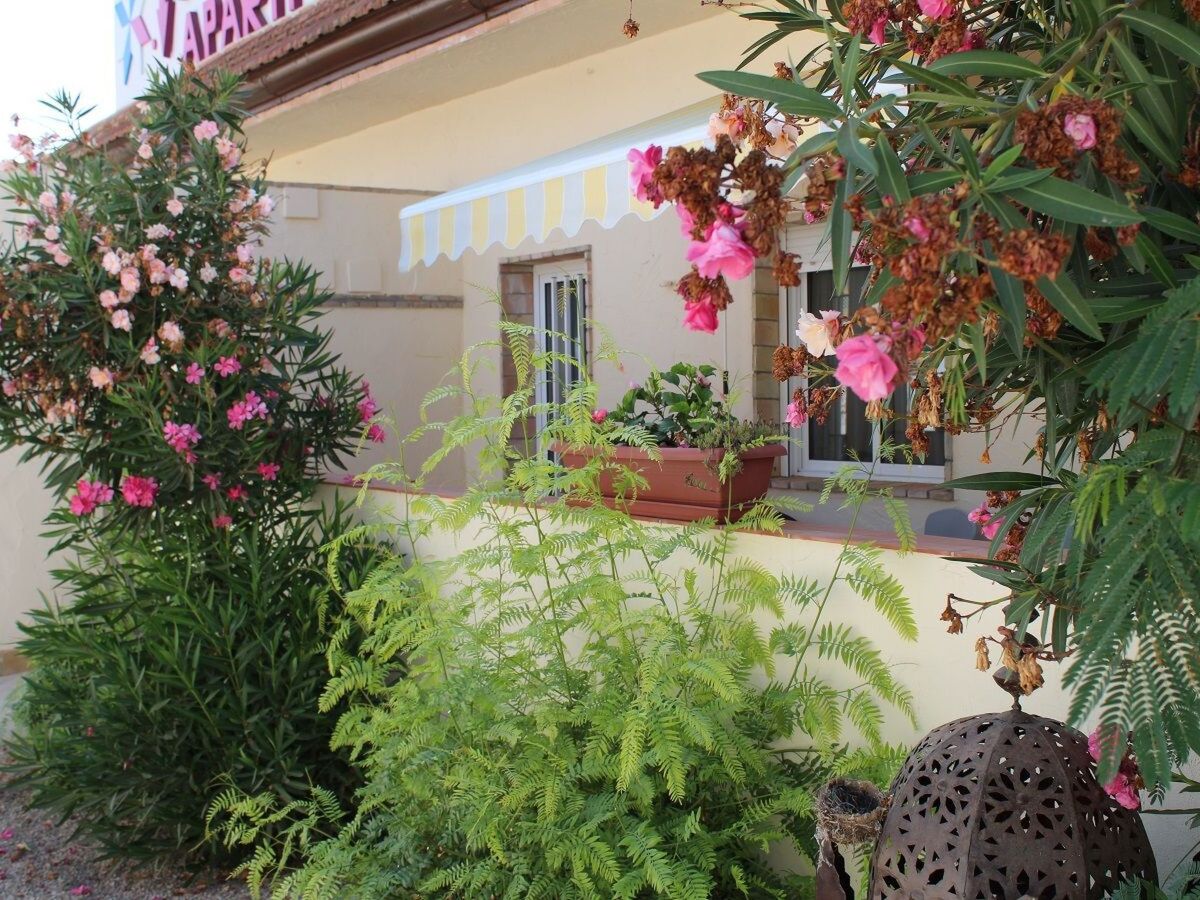Casa Lucía – Appartement 4 pers. avec terrasse à San Pedro - Photo 1