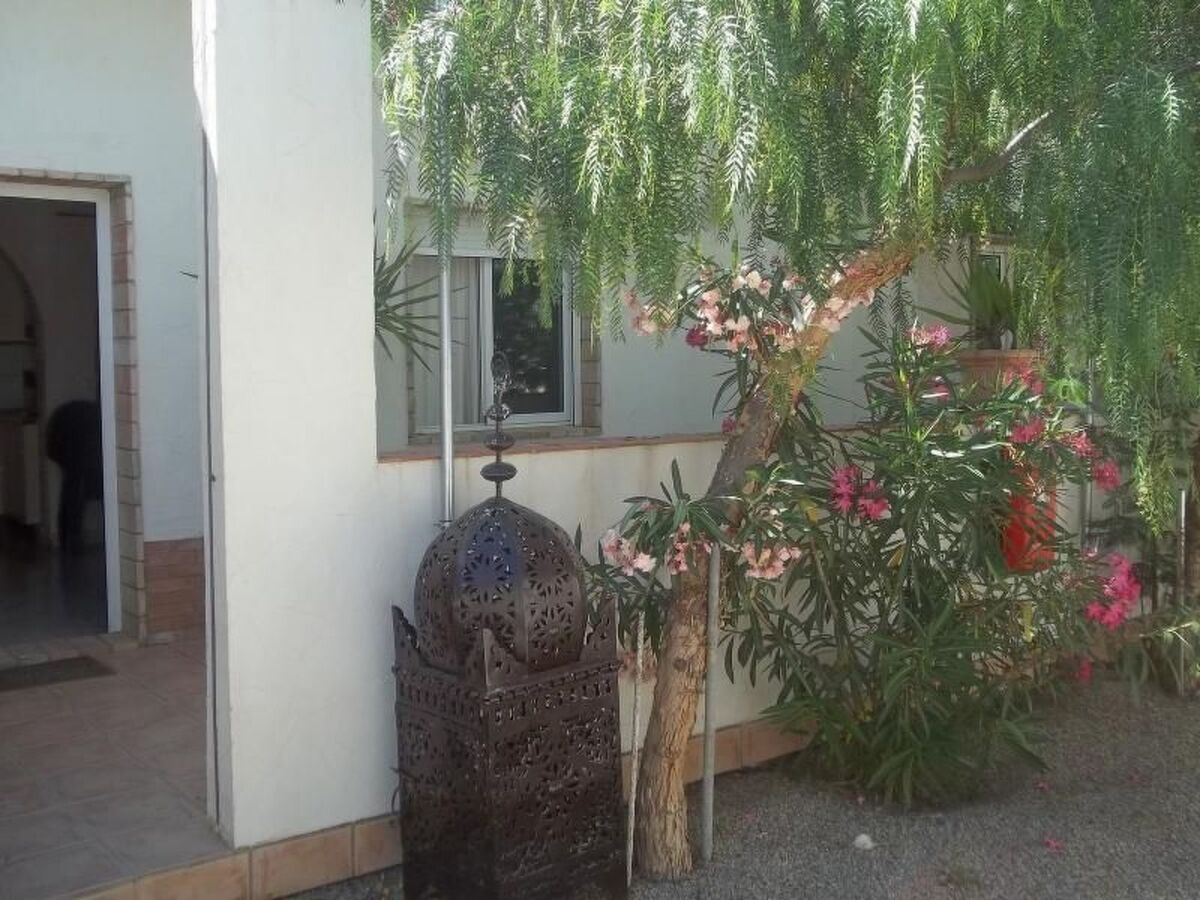 Casa Lucía – Appartement 4 pers. avec terrasse à San Pedro - Photo 14