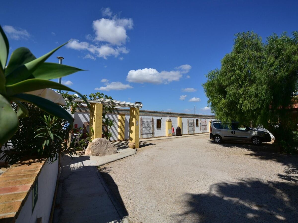 Casa Lucía – Appartement 4 pers. avec terrasse à San Pedro - Photo 23